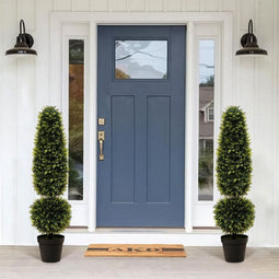 Coast Nep Buxus - 120 cm Hoog - Cement Gevulde Pot - Groen/Zwart