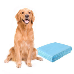 Coast Puppy Wegwerp Training Pads - Zindelijkheidstraining - 100 Stuks