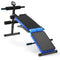 Coast Sit up Bank - Verstelbare Hoogte - Opvouwbaar - Tot 150 kg - Staal - Blauw