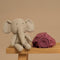 Coco & Cici Coco & Cici Kind - Hoeslaken TENCEL Twill Dusty Rose 70x145x15 70x145x15