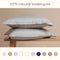 Coco & Cici - Tencel Sateen Kussensloop 70 x 60 cm - Kussenhoes - Lyocell - Extra Zacht & 100% Natuurlijk - Taupe