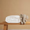 Coco & Cici - Tencel Zomerdekbed 120 x 150 cm - 1 Persoons Beddengoed - Kinderdekbed - Lyocell - Ademend & Extra Zacht - Wit