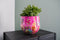 TS Collection - Bloempot Fiesta fuchsia - 24x21 - Metaal & Epoxy - Exclusieve woonitems voor binnen - Handgemaakt - Unieke print - Designed by Lammie