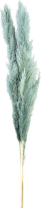 PTMD Dried Twig Pampas Gras - 65x7x110 cm - 3 stuks - Pacific Blauw