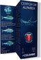 Colombo Alparex Voor 500 L - Medicijnen - 100 ml