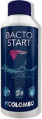 Colombo Bacto Start - Aquariumbenodigdheden - 250 ml