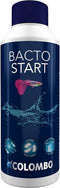 Colombo Bacto Start - Aquariumbenodigdheden - 250 ml