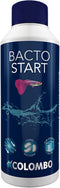 Colombo Bacto Start - Aquariumbenodigdheden - 250 ml