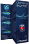Colombo bactyfec 100 ml voor 500 ltr - 1 ST