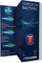 Colombo bactyfec 100 ml voor 500 ltr - 1 ST