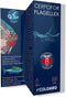 Colombo Flagellex - 1 x 100 ml