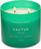 Colonial Candle – Pop Of Color Cactus Rain - 411 gram