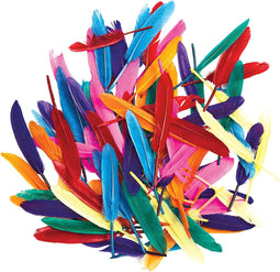 Colorations - Gekleurde Eendenveren, 28,5 gram