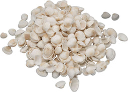 Colorations - Kleine Ark Schelpen, 500 gram