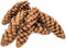 Colorations - Natuurlijke Strobuskegels, 6st.