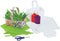 Colorations Opvouwbare Papieren Manden, Set van 20
