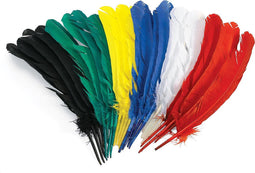 Colorations - Veren 30cm, Set van 24