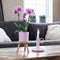 COMBI DEAL van 2 Orchideeën - Roze