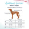 Company of Animals - Anatomy Halti - Honden Harnas - Grijs - Maat XL - Nekomvang: 50-78 cm - Borstomvang: 78-115 cm