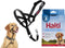 Company Of Animals Halti Zwart