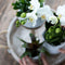 Complete Plantenset All White | Groene planten set met witte Phalaenopsis Orchidee en incl. keramieken sierpotten en accessoires