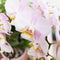 Complete Plantenset Gold foot pink | Groene planten set met roze Phalaenopsis Orchidee en incl. keramieken sierpotten en accessoires -