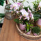 Complete Plantenset Gold foot pink | Groene planten set met roze Phalaenopsis Orchidee en incl. keramieken sierpotten en accessoires -