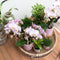 Complete Plantenset Gold foot pink | Groene planten set met roze Phalaenopsis Orchidee en incl. keramieken sierpotten en accessoires -