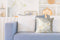 Kayoom Spark Pillow 210