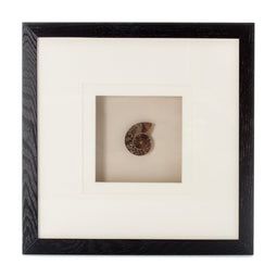Lalee Avenue Images Gem Art Force V 40cm x 40cm