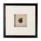 Lalee Avenue Images Gem Art Force V 40cm x 40cm