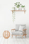 Lalee Avenue Candlestick Turai 260 nature