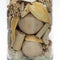 Lalee Avenue Deco bottle Flora 210 Natural