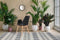 Lalee Avenue Chair Chaplin 110 set of 2 black (LxWxH) 55.5 x 60 x 81.5 cm