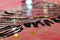 Lalee Avenue Oil mural Kalahari 70cm x 70cm