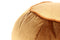 Lalee Avenue Pouf Taj Mahal 325 (LxWxH) Ø 65 x 35 cm