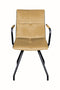 Lalee Avenue Chair Eaden 225 set of 2 (LxWxH) 60 x 50 x 87 cm