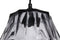Lalee Avenue Aurea hanging lamp