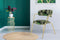 Lalee Avenue Chair Forest 625 set of 2 multi / green (LxWxH) 61 x 58 x 79 cm