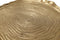 Lalee Avenue Decorative tray Wood Art 425