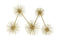 Lalee Avenue Wall decoration domicile 125