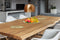 Lalee Avenue Decorative plate Dion 125 set of 3