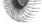 Lalee Avenue Wall mirror Duke 525 set of 4