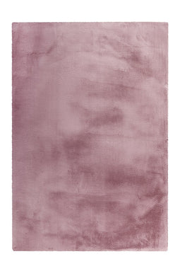 Padiro Rabbit Light 525