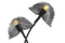 Lalee Avenue Table lamp Sue 100-IN