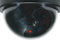 Conceptronic CFCAMD Dummy Dome Camera, Indoor, Plastic, Black