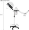 Concise Home Professional Hair Steamer with Rolling Stand - Adjustable Power and Height for Salon Use
