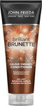 Conditioner voor Droog Haar John Frieda Brilliant Brunette 250 ml