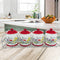 Container set 5 pieces MAESTRO MR-20008-04CS