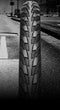 Continental Buitenband Contact 28 X 1.25 (32-622) Rs